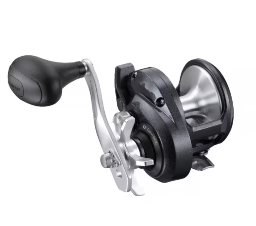 Shimano Torium 16 lb A HG (R)
