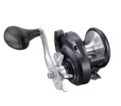 Shimano Torium 14 lb A HG (R)
